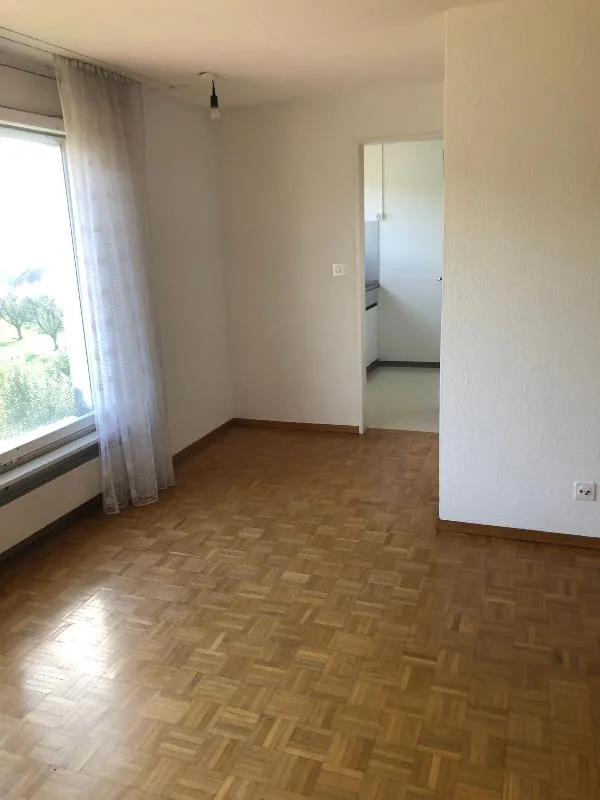 2.5 Zimmer Wohnung, 8855 Wangen SZ
