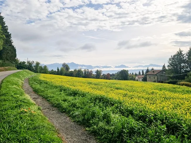 6 Zimmer Villa in Prilly – foto 3 di 3