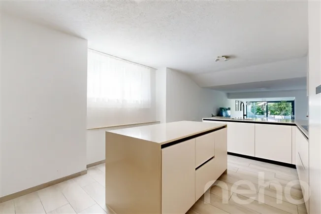 4.5 Zimmer Wohnung, 1031 Mex VD