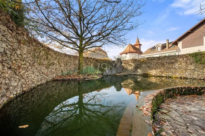 Maison villageoise d'exception au coeur de Sullens ! – photo 4 sur 20