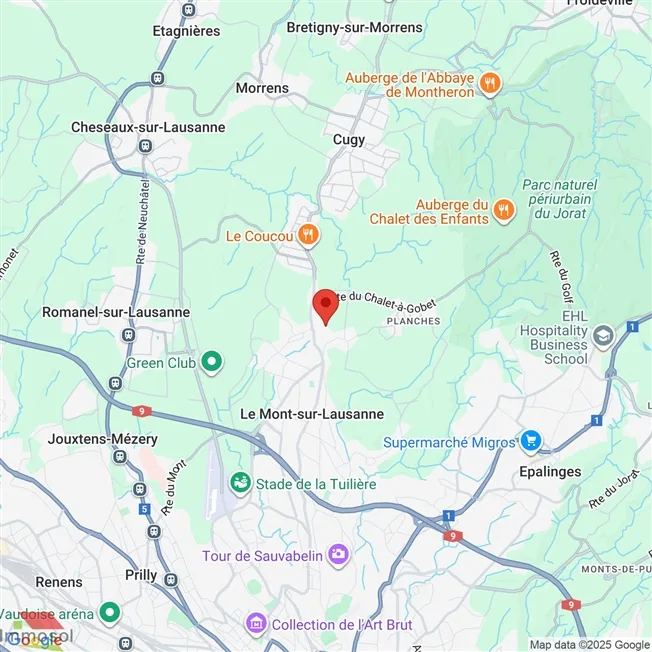5.5 Zimmer Reihenfamilienhaus in Le Mont-sur-Lausanne – foto 8 di 8