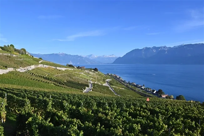 4 Zimmer Wohnung in Bourg-en-Lavaux – photo 8 sur 14