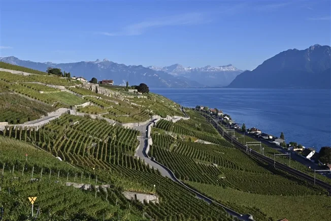 4 Zimmer Wohnung in Bourg-en-Lavaux – photo 14 sur 14