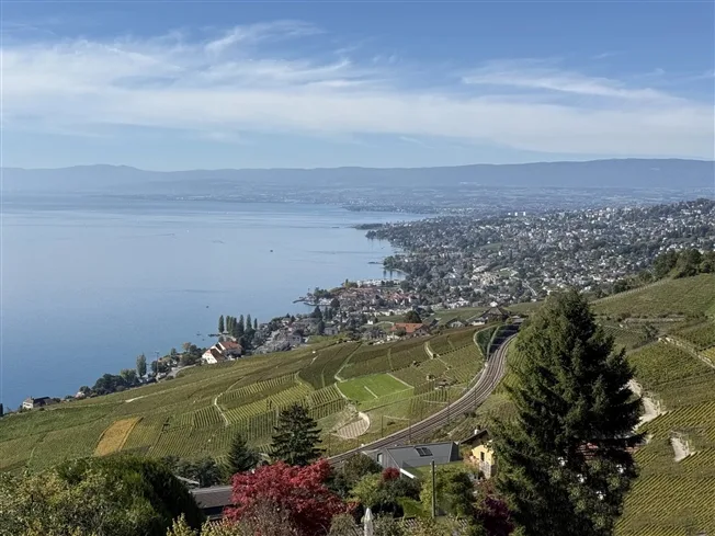 4 Zimmer Wohnung in Bourg-en-Lavaux – photo 4 sur 14