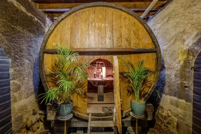 15 Zimmer Schloss in Féchy – Foto 14 von 20