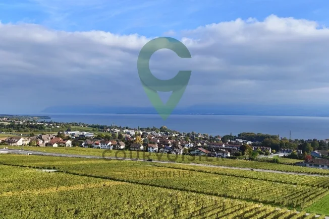 4.5 Zimmer Wohnung in Rolle – Foto 17 von 17