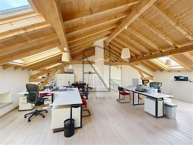 11 Zimmer Villa in Essertines-sur-Rolle – Foto 19 von 20