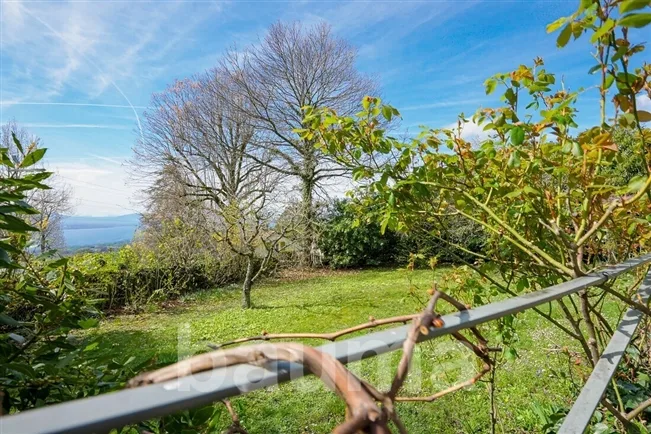 6 Zimmer Einfamilienhaus in Essertines-sur-Rolle – Foto 7 von 20