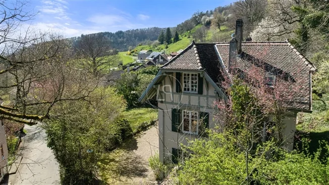 8 Zimmer Einfamilienhaus in Essertines-sur-Rolle – Foto 19 von 20