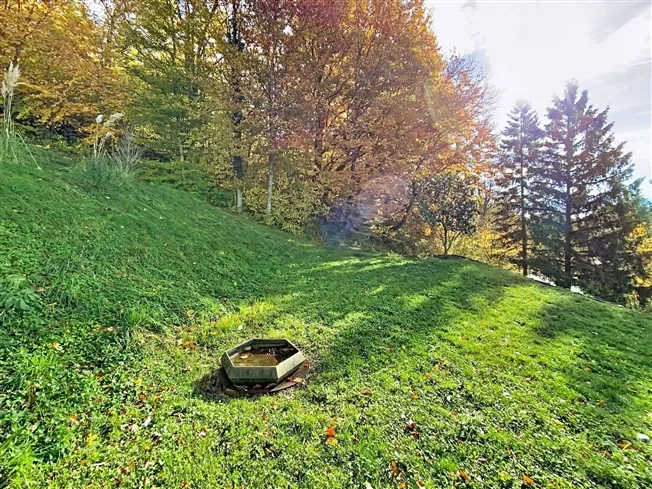 Prächtiges Haus in der Natur – Foto 20 von 20