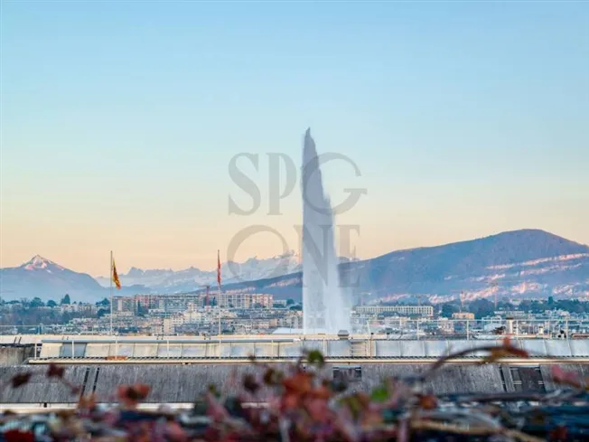 10 Zimmer Wohnung in Genève – Foto 11 von 12