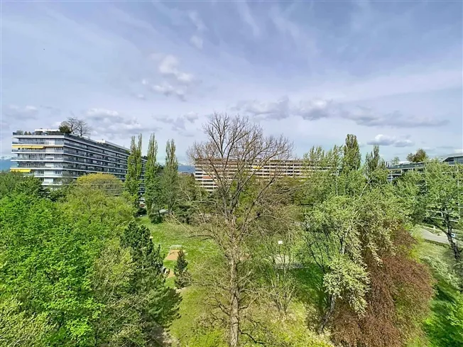 7 Zimmer Wohnung in Genève – foto 25 di 25