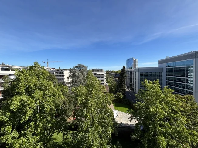 7 Zimmer Wohnung in Genève – Foto 12 von 12