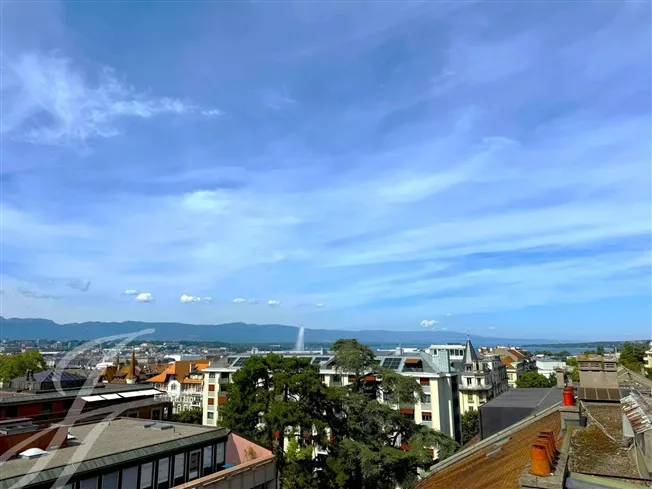 6 Zimmer Wohnung in Genève – photo 18 sur 18