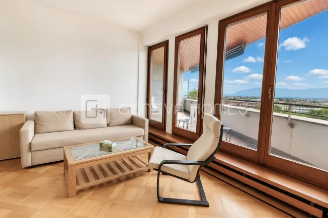 2 Zimmer Wohnung in Le Grand-Saconnex – foto 4 di 9