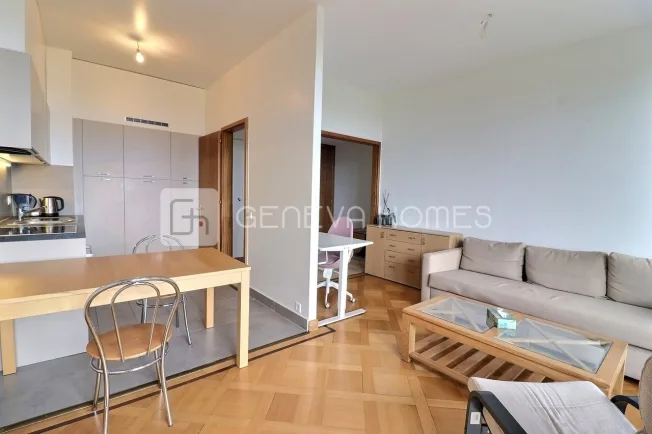 2 Zimmer Wohnung in Le Grand-Saconnex – foto 6 di 9