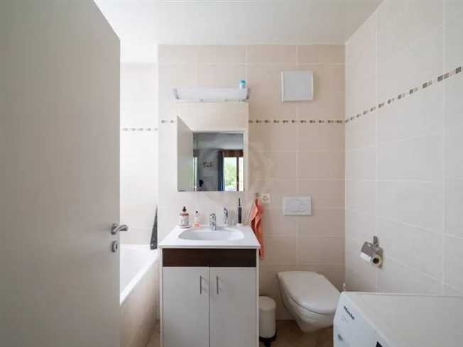 5 Zimmer Wohnung in Plan-les-Ouates – photo 10 sur 11