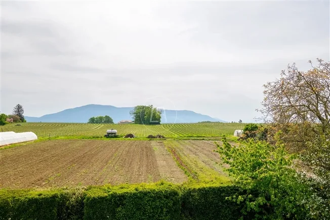 10 Zimmer Einfamilienhaus in Anières – Foto 3 von 20