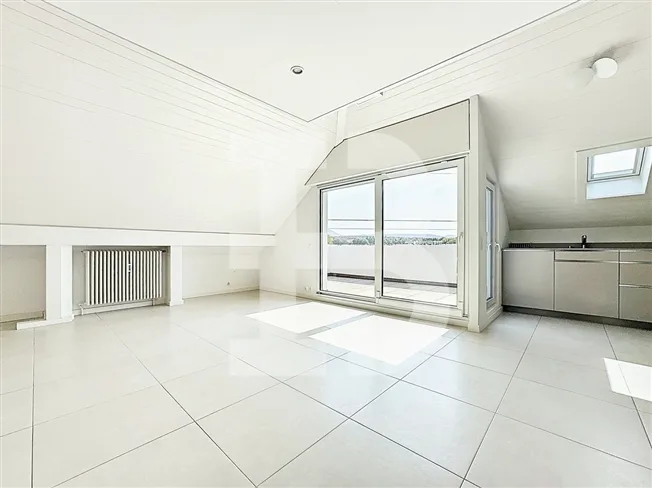 Incantevole attico di 3,5 locali con 1 camera da letto - 1 mezzanine - 2 terrazze – foto 3 di 11