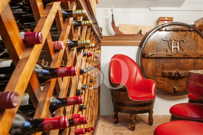 15 Zimmer Einfamilienhaus in Crans-près-Céligny – foto 13 di 13