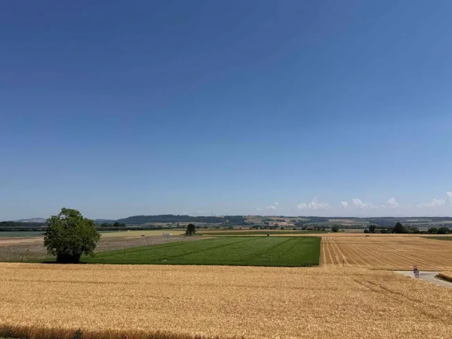 Magnifique appartement neuf de 4½ au rez supérieur avec balcon et vue dégagée – foto 16 di 21