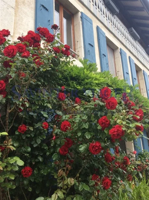 9.5 Zimmer Wohnung in Fontaines-sur-Grandson – Foto 6 von 13