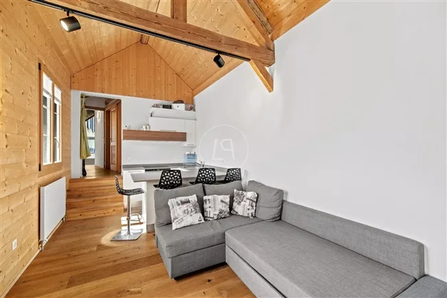 Superbe maison villageoise de 3 logements avec terrasse et jardin – photo 15 of 17