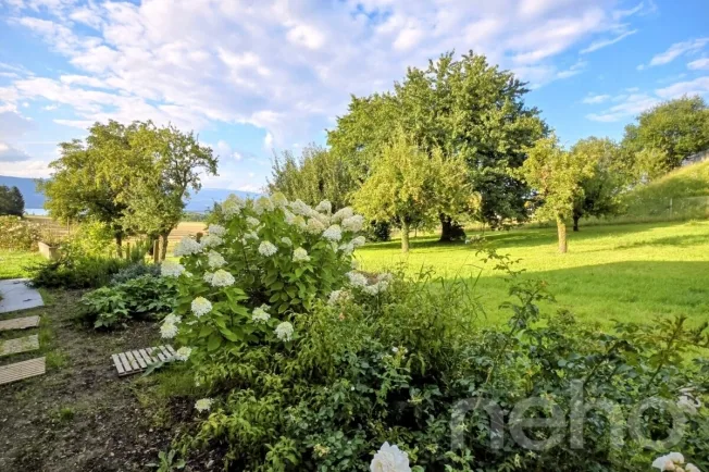 4.5 Zimmer Einfamilienhaus in Cudrefin – photo 3 sur 12