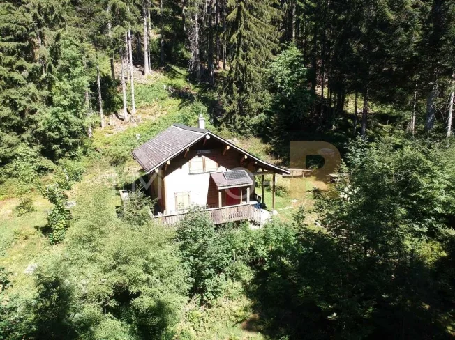 4.5 Zimmer Chalet in Les Paccots – photo 2 sur 10