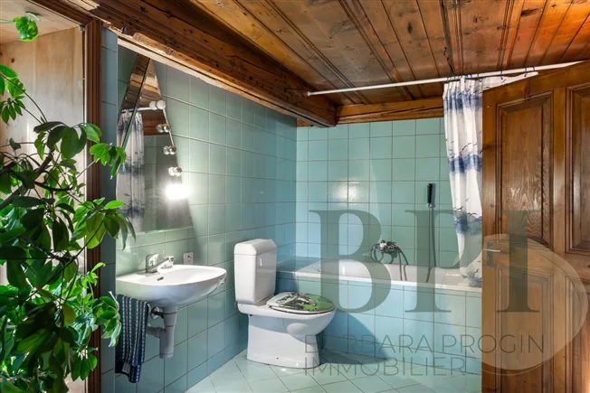 7.5 Zimmer Bauernhaus in Sâles (Gruyère) – Foto 17 von 20