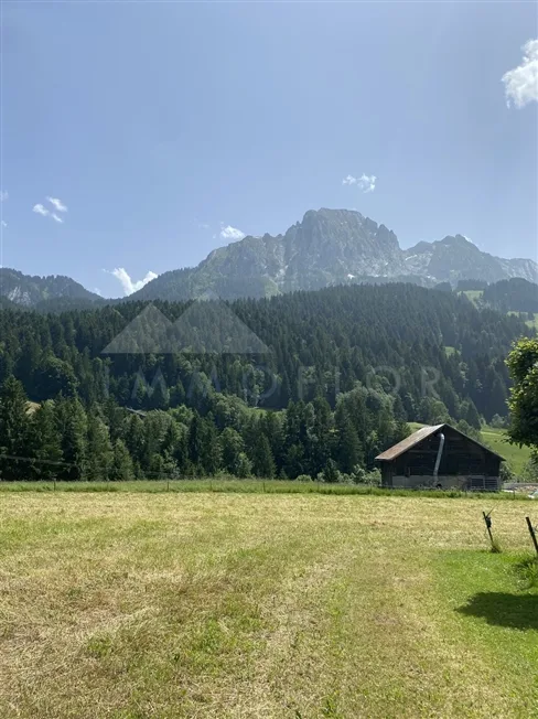 2 Zimmer Bauernhaus in Rougemont – foto 5 di 7