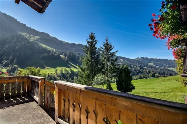 17 Zimmer Chalet in Les Moulins – foto 8 di 12