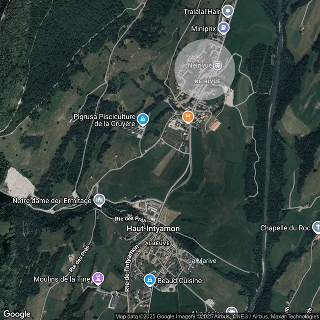 4.5 Zimmer Einfamilienhaus in Neirivue – Foto 9 von 9