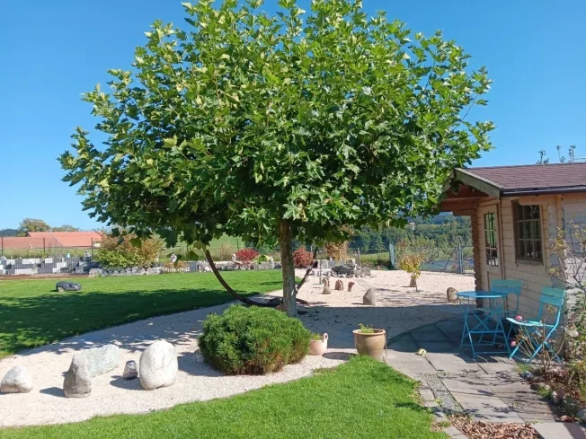 5 Zimmer Einfamilienhaus in Vauderens – Foto 11 von 11
