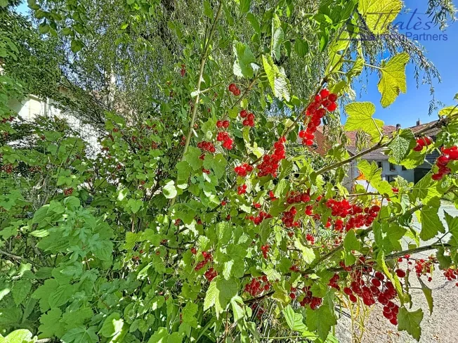 6.5 Zimmer Einfamilienhaus in Brenles – Foto 18 von 18