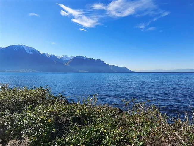 8 Zimmer Einfamilienhaus in Vevey – foto 2 di 3