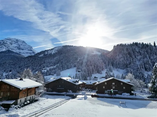 4.5 Zimmer Wohnung in Les Diablerets – foto 2 di 10