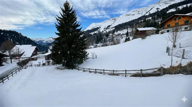 11 Zimmer Chalet, 1865 Les Diablerets