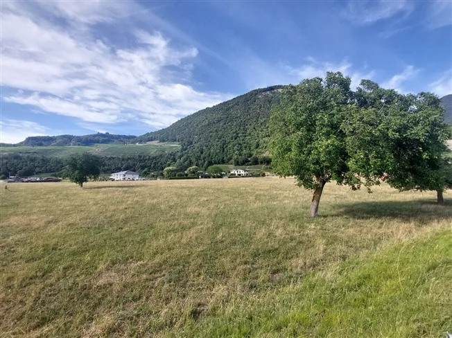5.5 Zimmer Reihenfamilienhaus in Ollon – Foto 9 von 10