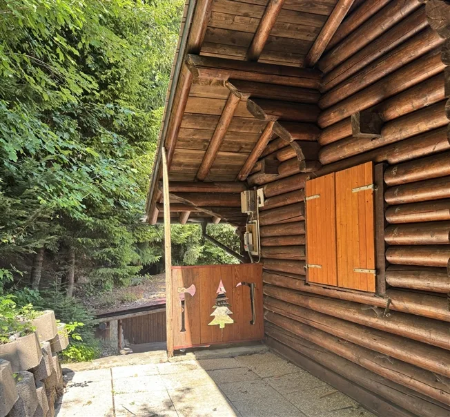 4 Zimmer Chalet, 1871 Choëx