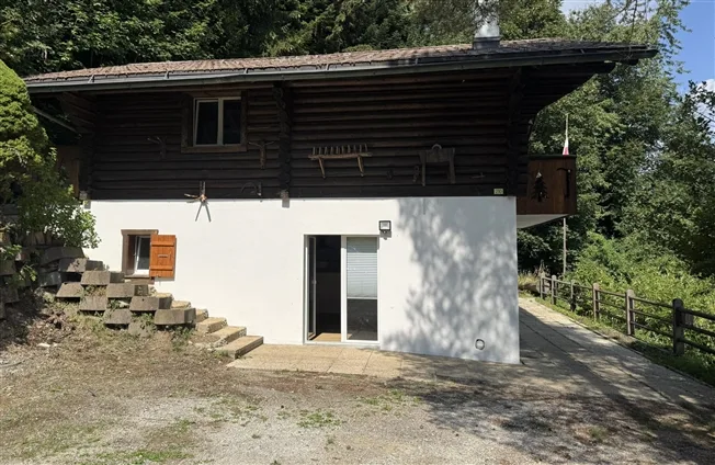 4 Zimmer Chalet, 1871 Choëx