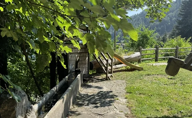 4 Zimmer Chalet, 1871 Choëx