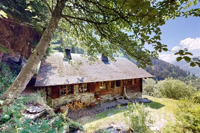 4 Zimmer Chalet in Val-d'Illiez – photo 2 sur 12