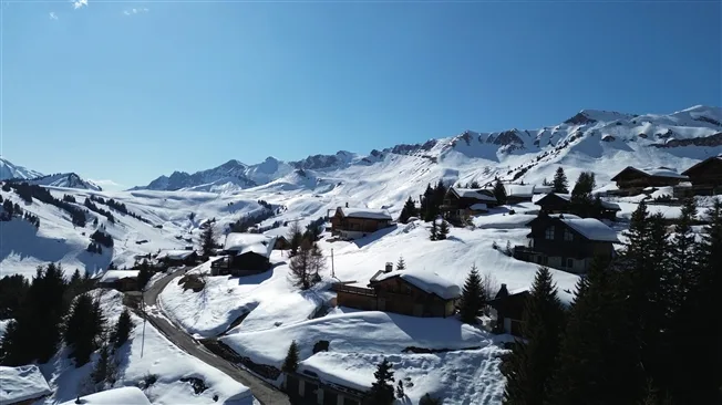 7.5 Zimmer Chalet in Les Crosets – Foto 14 von 16