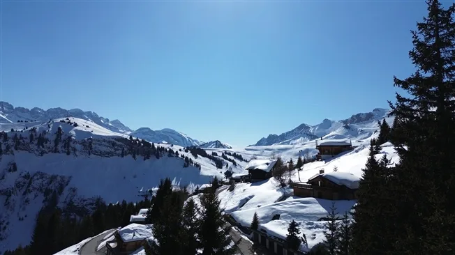 7.5 Zimmer Chalet in Les Crosets – Foto 12 von 16