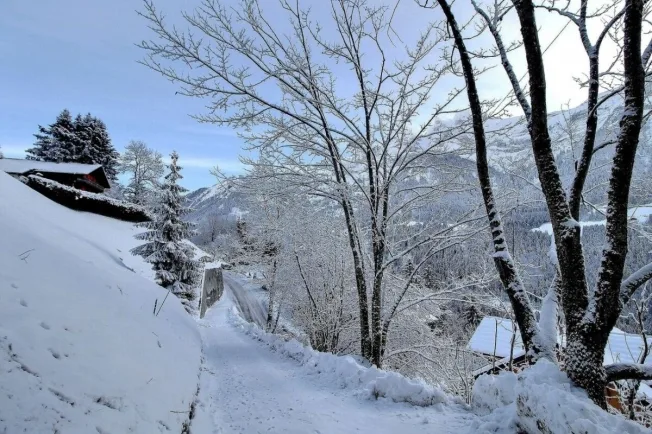 Wohnung in Champéry – foto 4 di 7