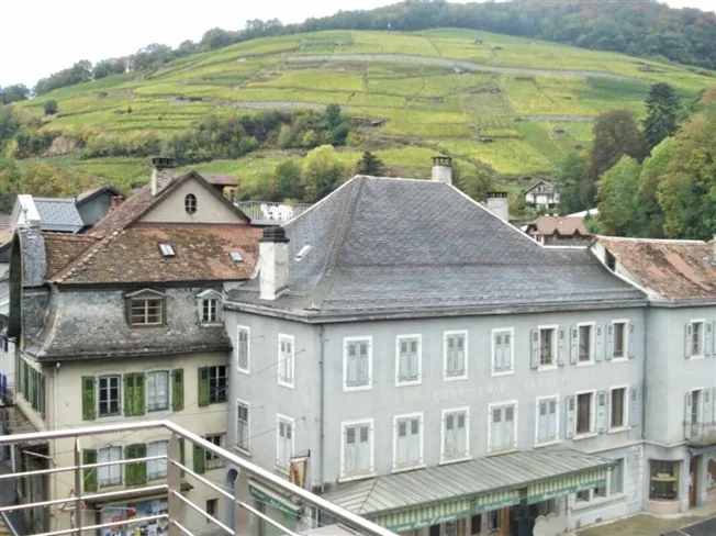 15.5 Zimmer Einfamilienhaus in Bex – foto 8 di 20