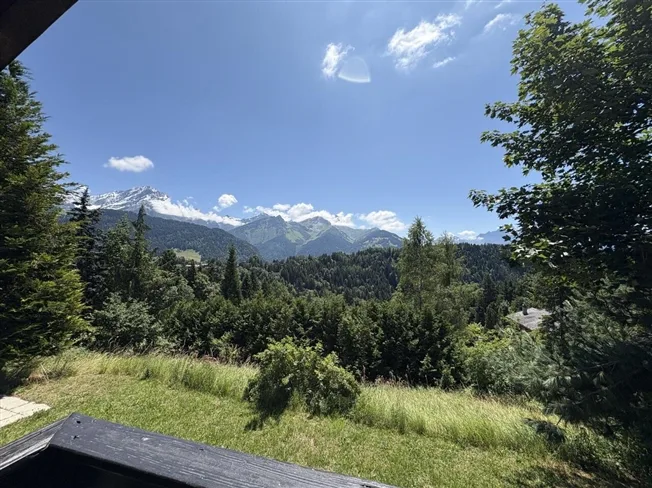 4.5 Zimmer Chalet in Huémoz – Foto 3 von 10