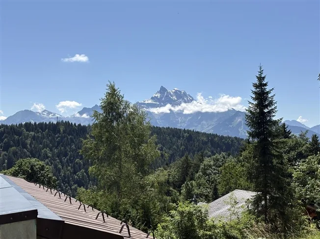 4.5 Zimmer Chalet in Huémoz – Foto 10 von 10