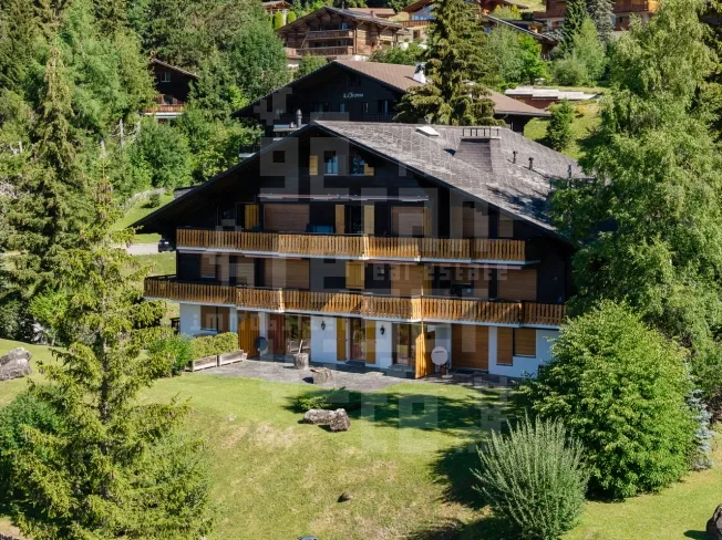 4 Zimmer Wohnung in Chesières – Foto 2 von 20